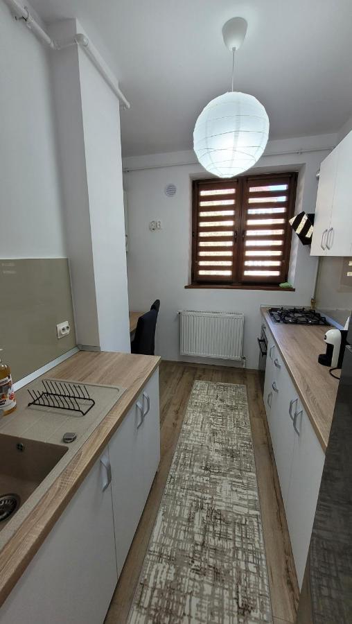 Andy Apartament Petroşani Exteriér fotografie